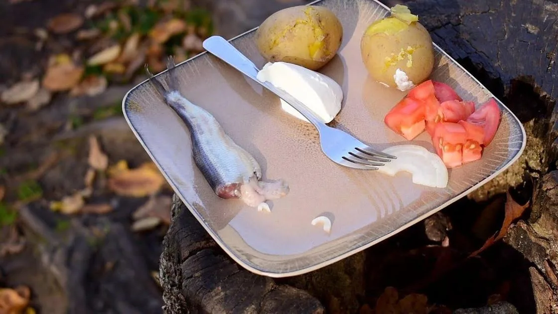 Surströmming: O Polêmico Peixe Fermentado da Suécia